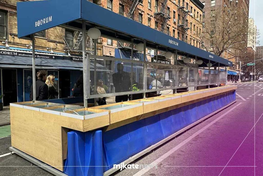 New York City Regulations For Infrastructure And Outdoor